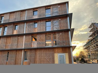 Hout is het nieuwe beton in de Nederlandse woningbouw